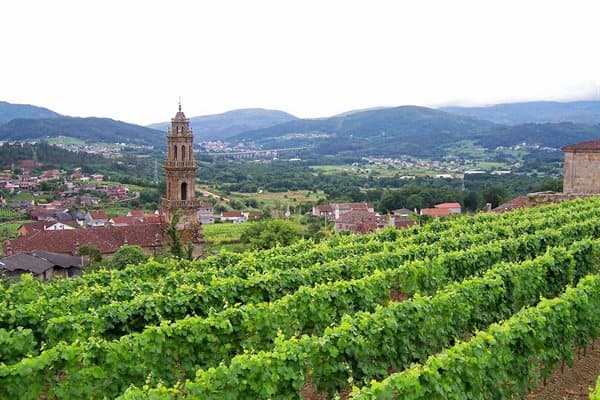 O Ribeiro - rutas del vino