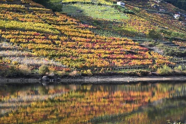 Ribeira Sacra